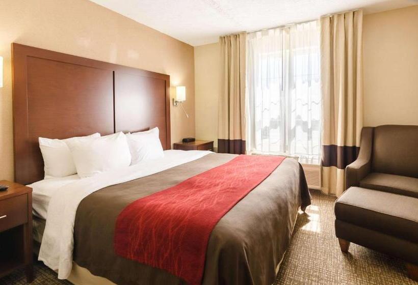 酒店 Comfort Inn  Wytheville Fort Chiswell