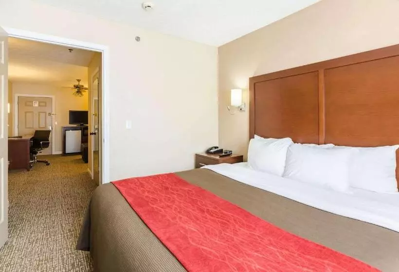 ホテル Comfort Inn  Wytheville Fort Chiswell