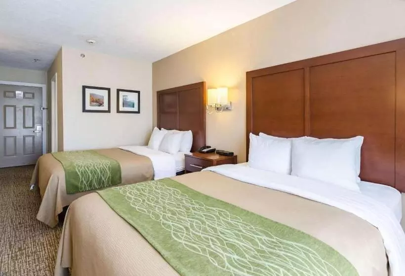 ホテル Comfort Inn  Wytheville Fort Chiswell