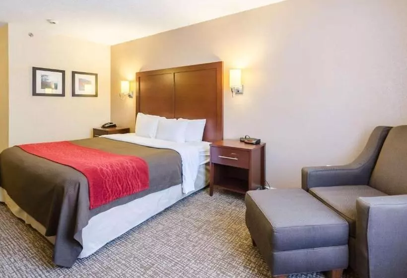 ホテル Comfort Inn  Wytheville Fort Chiswell