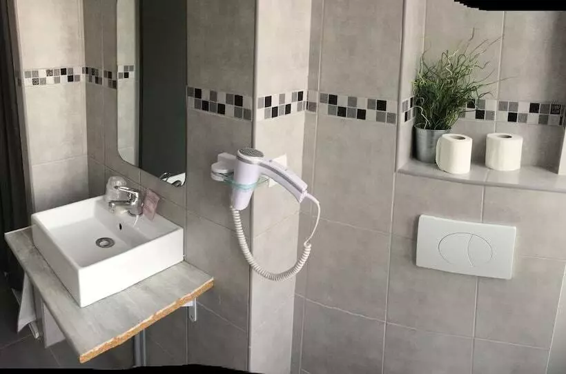 בית מלון כפרי De Berne