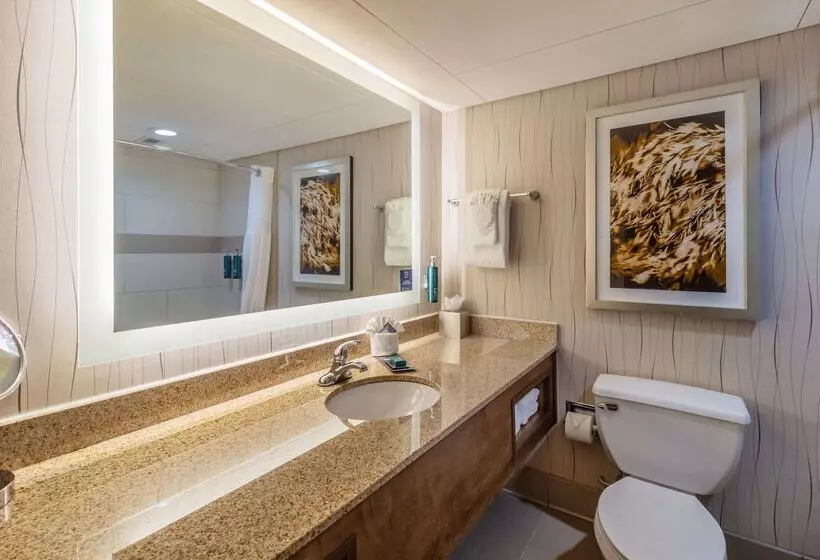 Doubletree By Hilton Hotel Lawrence