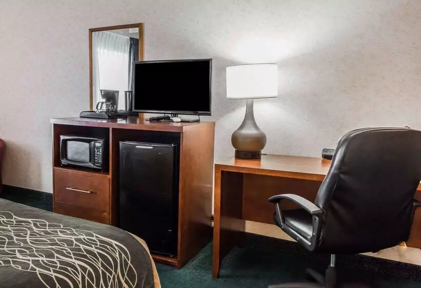 酒店 Quality Inn