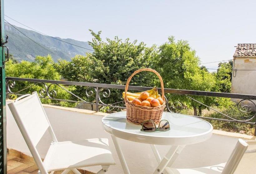 Aggeliki Apartments Dassia By Hotelius