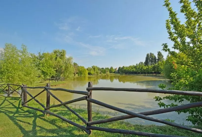 Отель Calamidoro