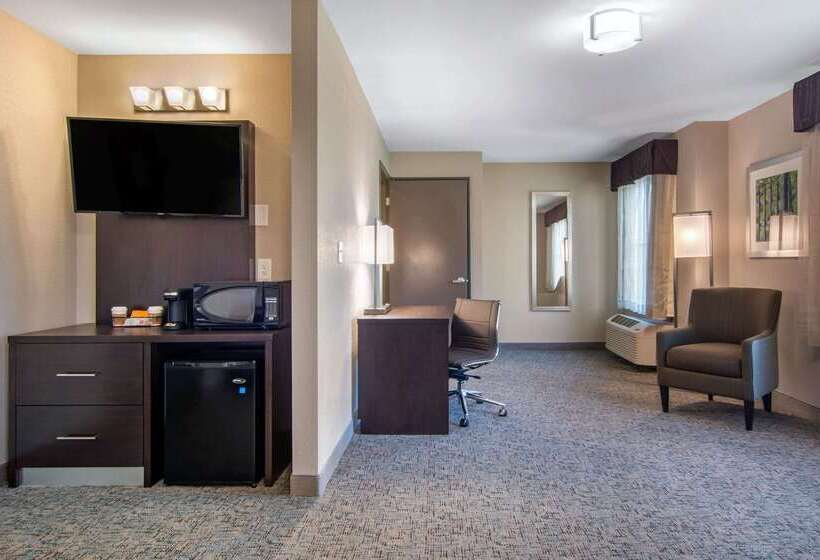 هتل Clarion Inn & Suites Atlanta Downtown
