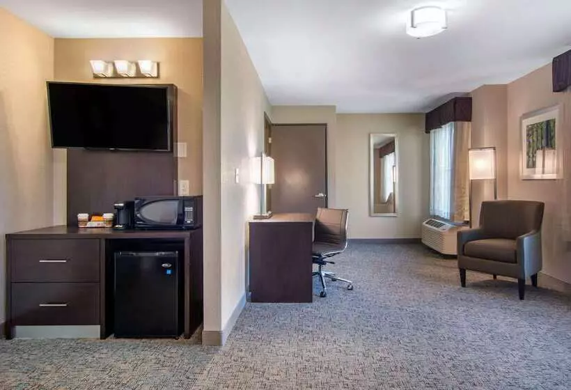 בית מלון כפרי Clarion Inn & Suites Atlanta Downtown