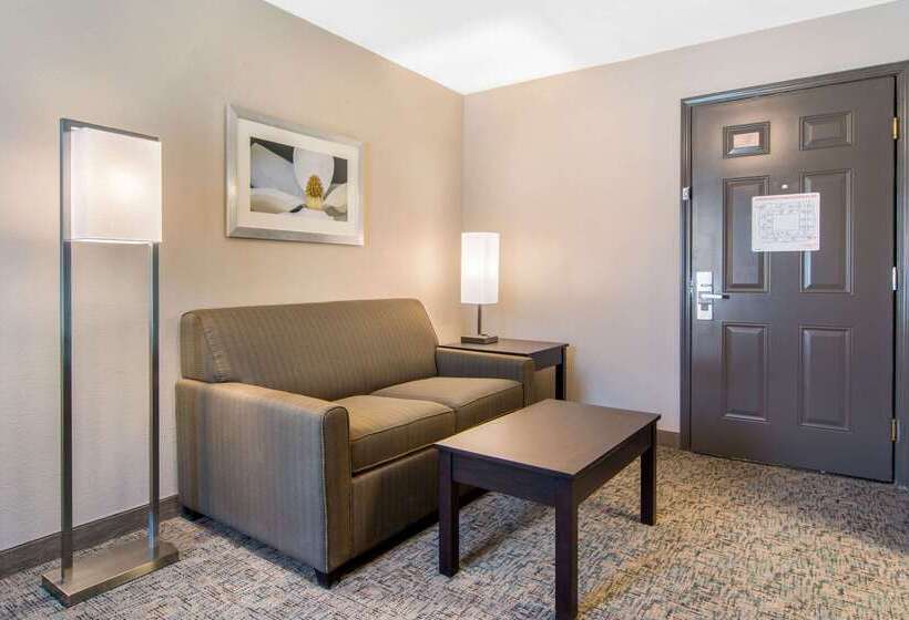 هتل Clarion Inn & Suites Atlanta Downtown