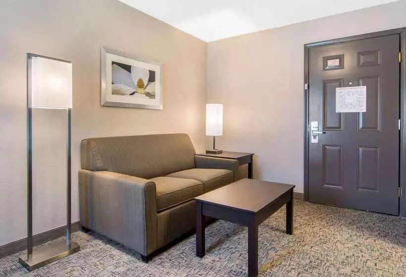 בית מלון כפרי Clarion Inn & Suites Atlanta Downtown