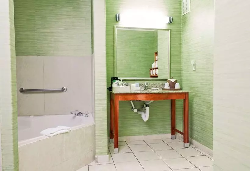 호텔 Hampton Inn & Suites Harlingen