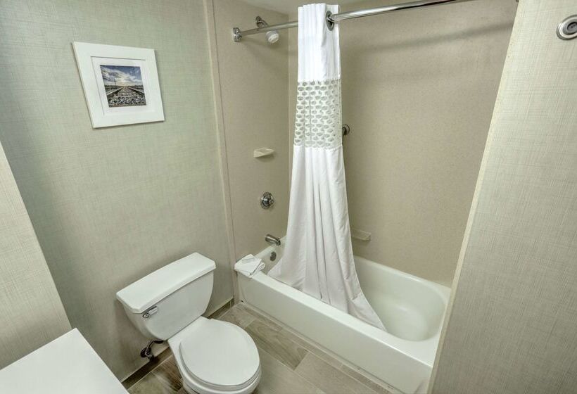 בית מלון כפרי Hampton Inn Batavia