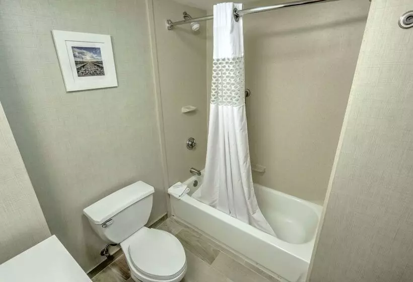 בית מלון כפרי Hampton Inn Batavia