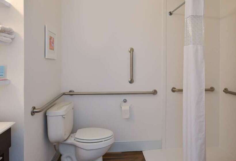 Отель Hampton Inn Carbondale