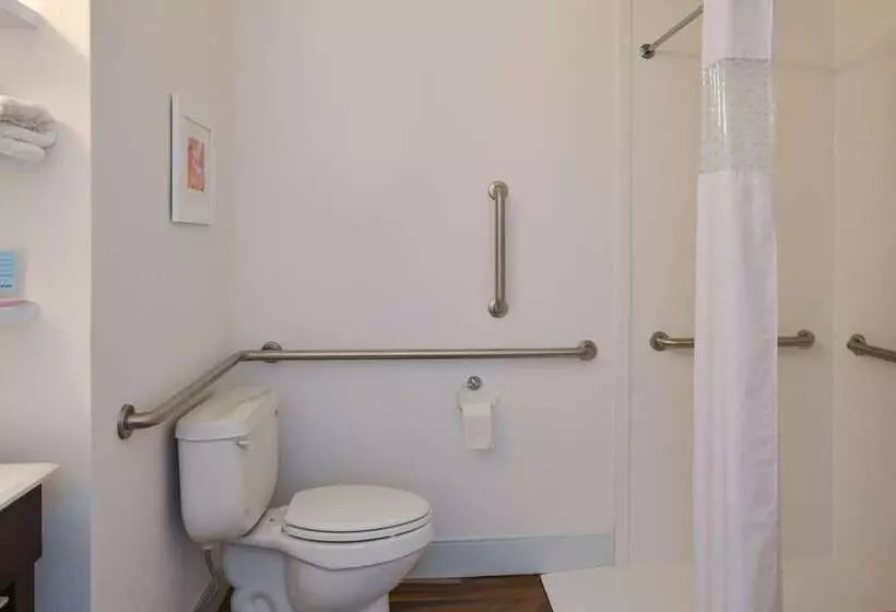 호텔 Hampton Inn Carbondale