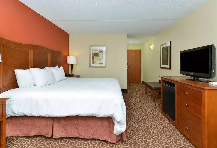 فندق Hampton Inn Chicagocarol Stream