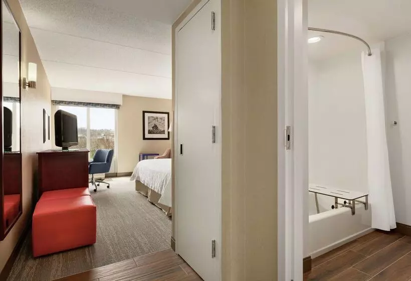 ホテル Hampton Inn Dulles Cascades