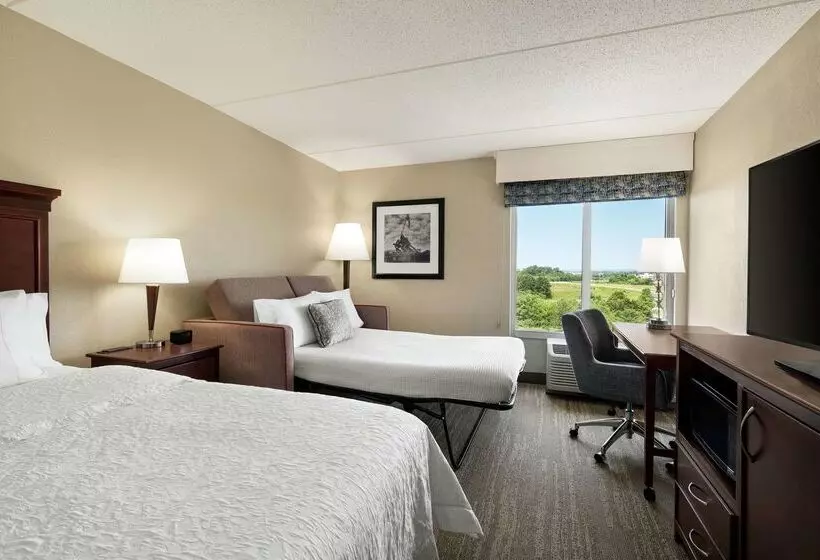 ホテル Hampton Inn Dulles Cascades