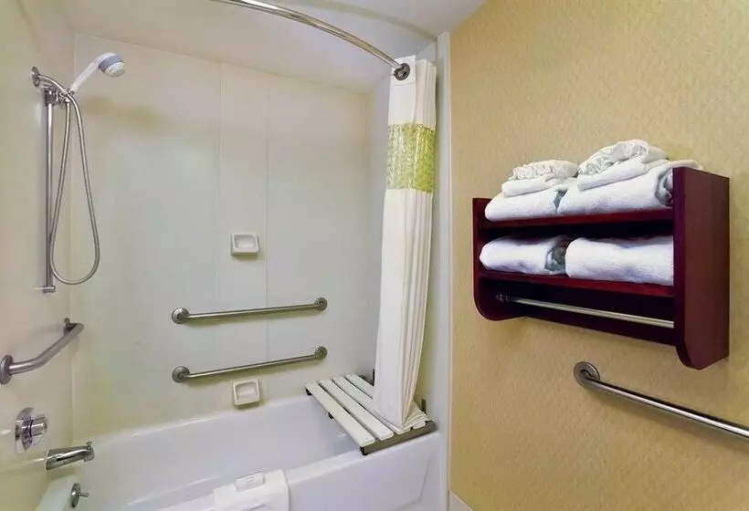 هتل Hampton Inn Manheim