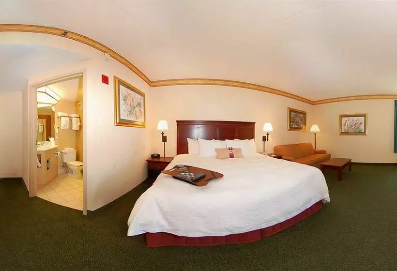 هتل Hampton Inn Manheim