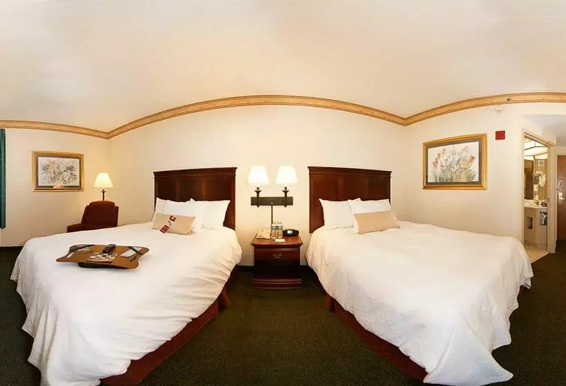 هتل Hampton Inn Manheim