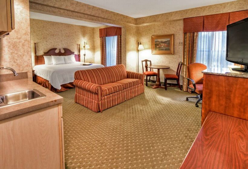 Otel Hampton Inn Marion