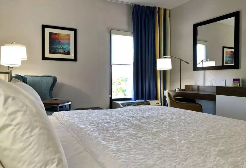 호텔 Hampton Inn Spring Hill