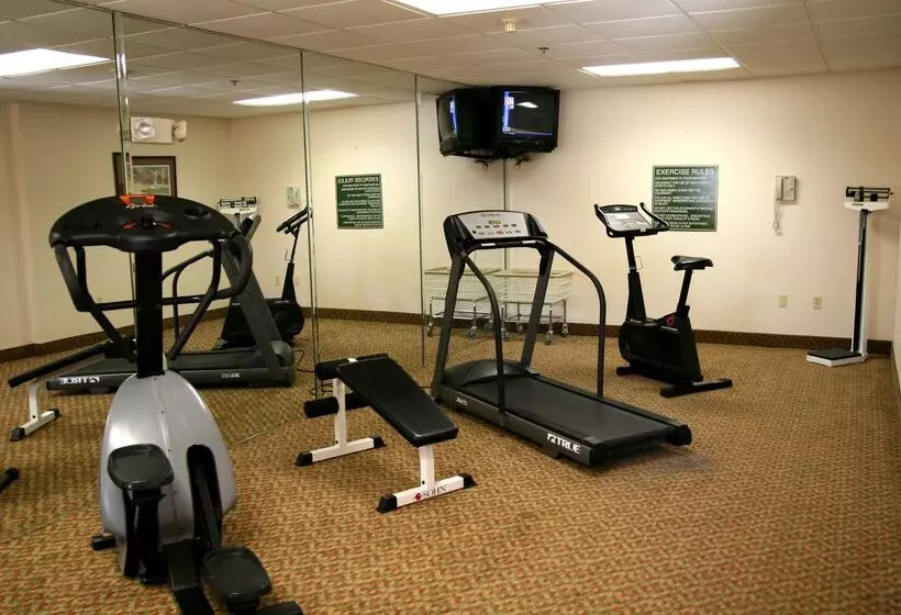 호텔 Hampton Inn Spring Hill