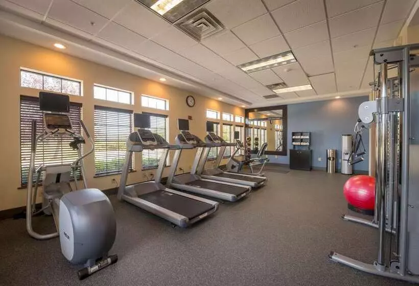 Szálloda Hampton Inn & Suites Binghamton/vestal