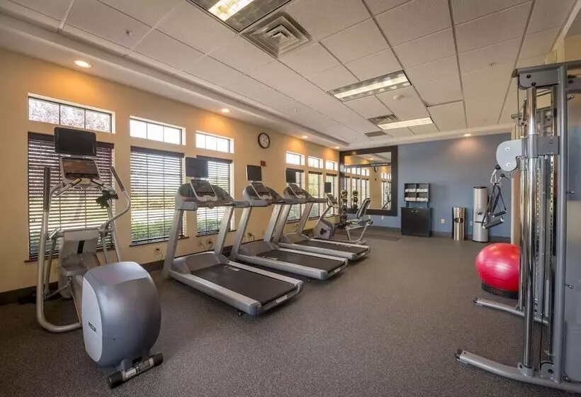 Szálloda Hampton Inn & Suites Binghamton/vestal