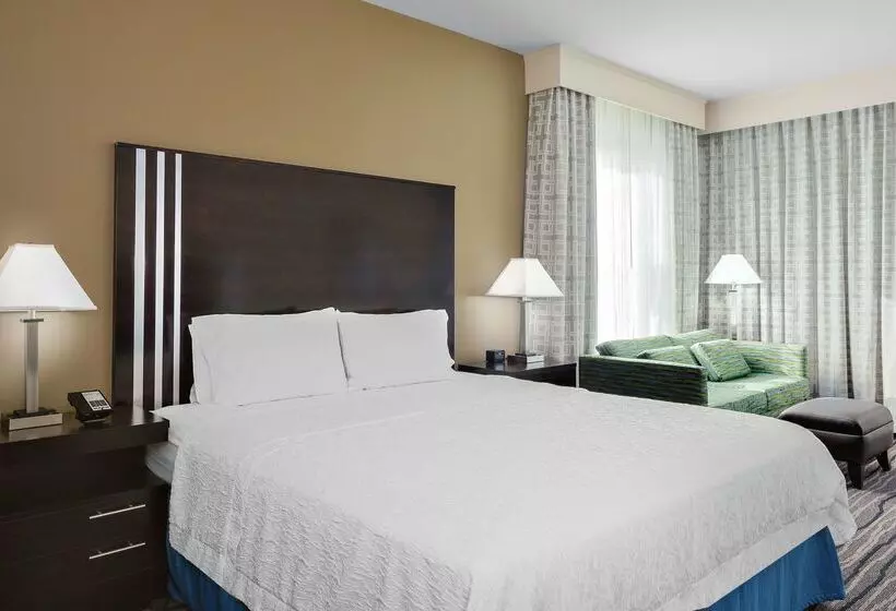 Hotel Hampton Inn & Suites Mountain View