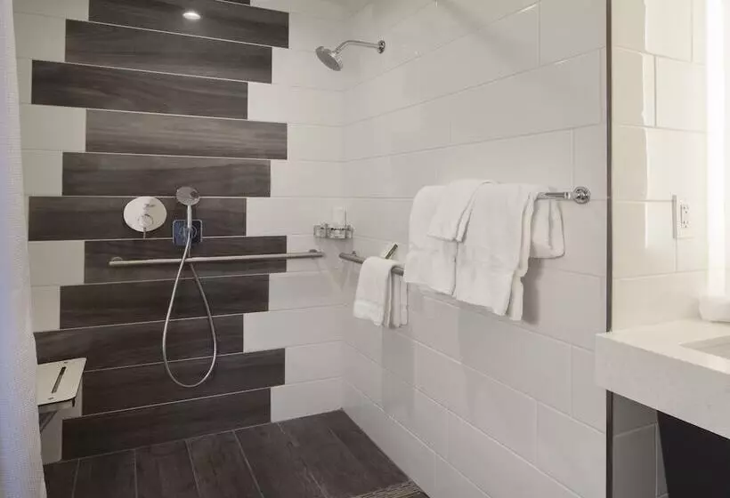 בית מלון כפרי Indigo Atlanta Midtown, An Ihg