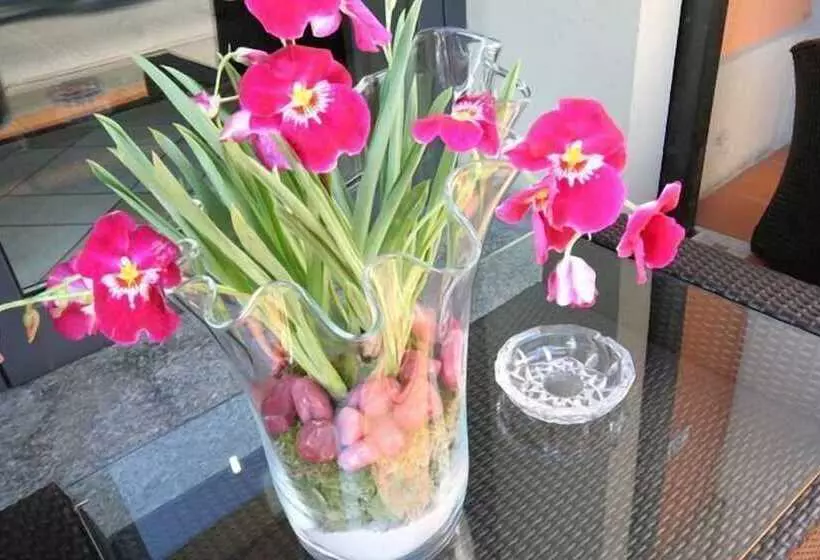 Отель Montebello