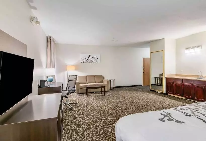 Отель Sleep Inn