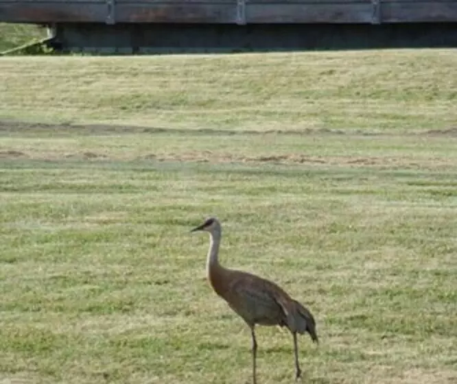 モーテル The Ocean Shores