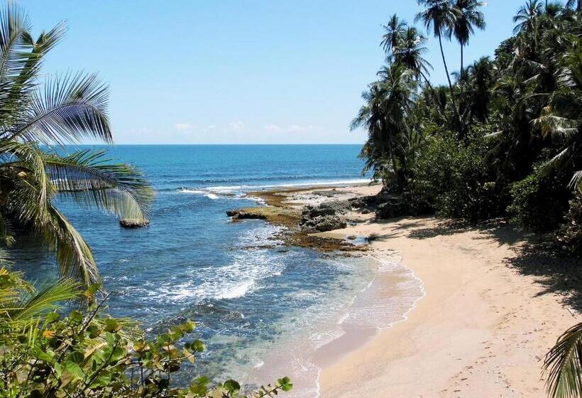 住宿加早餐  El Colibri Lodge