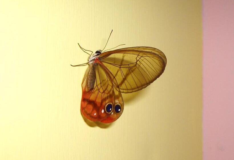 住宿加早餐  El Colibri Lodge