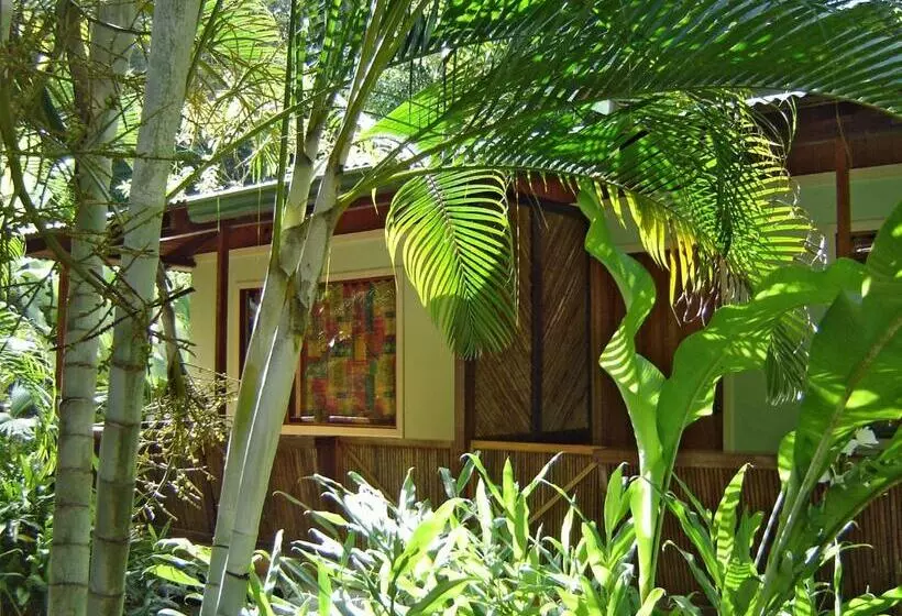 Aamiaismajoitus (B&B) El Colibri Lodge