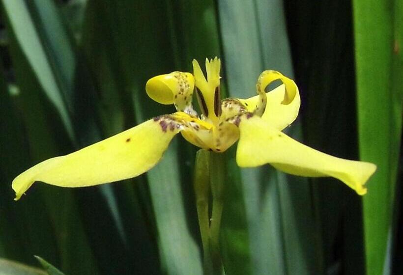 住宿加早餐  El Colibri Lodge