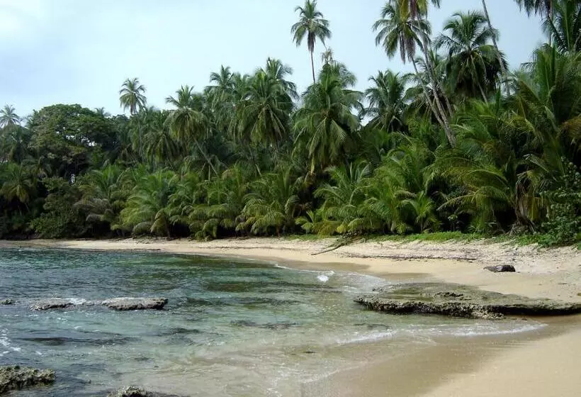 Aamiaismajoitus (B&B) El Colibri Lodge