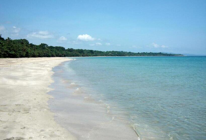 住宿加早餐  El Colibri Lodge