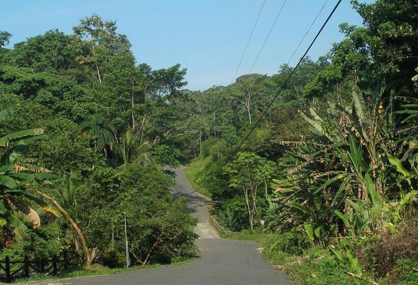 住宿加早餐  El Colibri Lodge