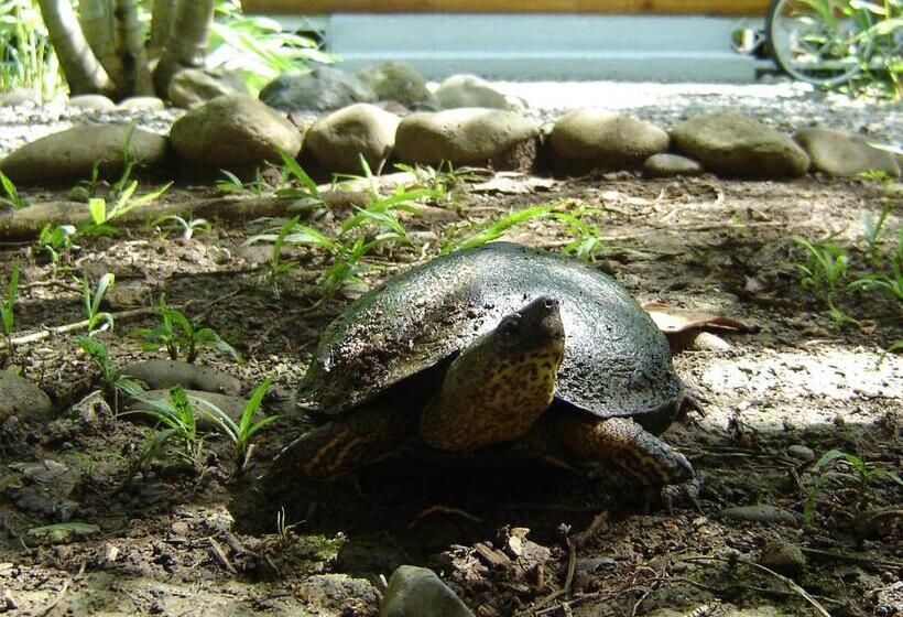 住宿加早餐  El Colibri Lodge