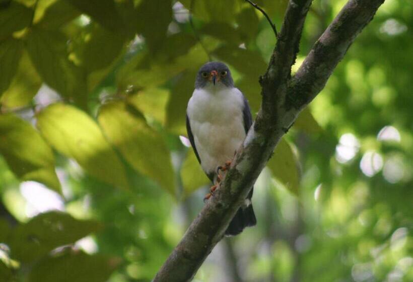 住宿加早餐  El Colibri Lodge