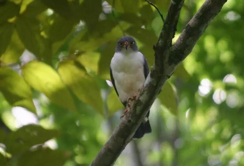 Aamiaismajoitus (B&B) El Colibri Lodge
