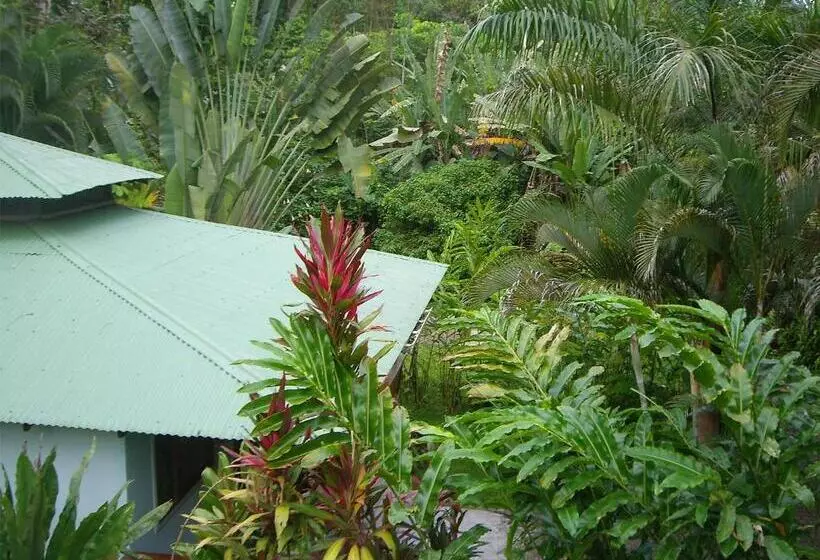 Aamiaismajoitus (B&B) El Colibri Lodge