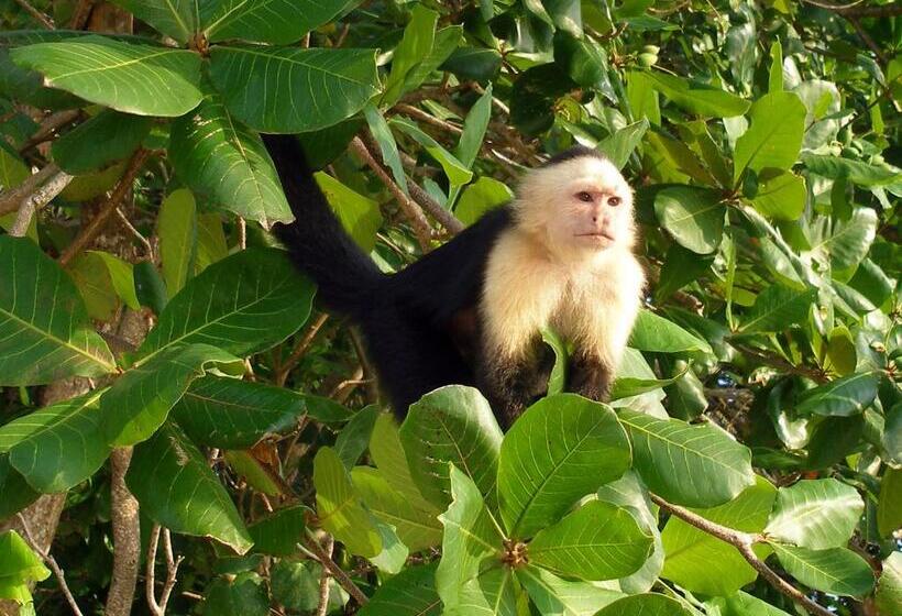 住宿加早餐  El Colibri Lodge