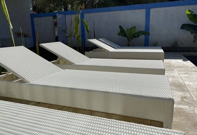 リゾートホテル Kura Kura Divers Lodge