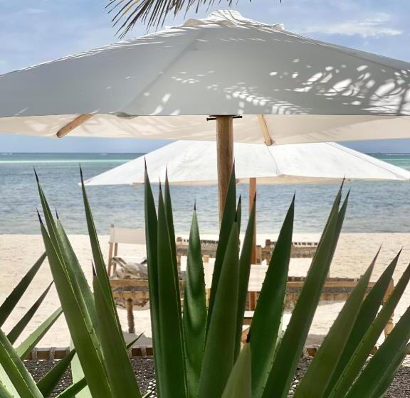 استراحتگاه Simba Wa Kale Suites & Beach