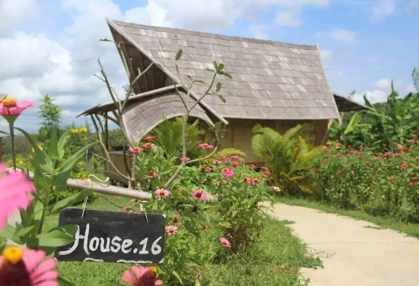 ホテル Hanchey Bamboo Resort