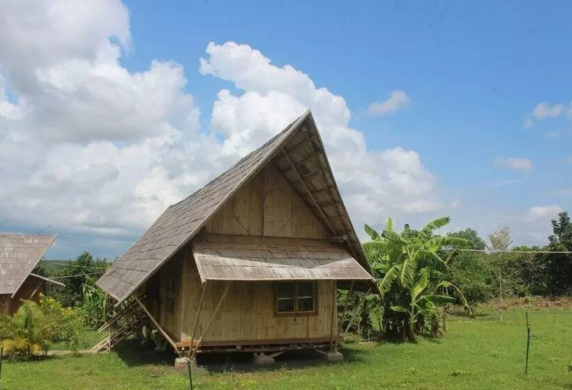 ホテル Hanchey Bamboo Resort